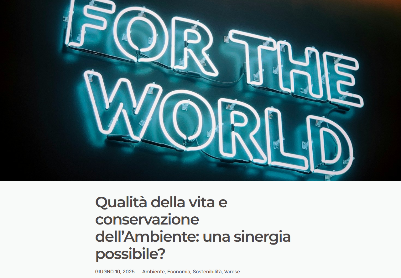 Screenshot dell'articolo su danielacolmenares.it